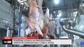 Rondônia avança para exportar carne bovina a Chile e Japão