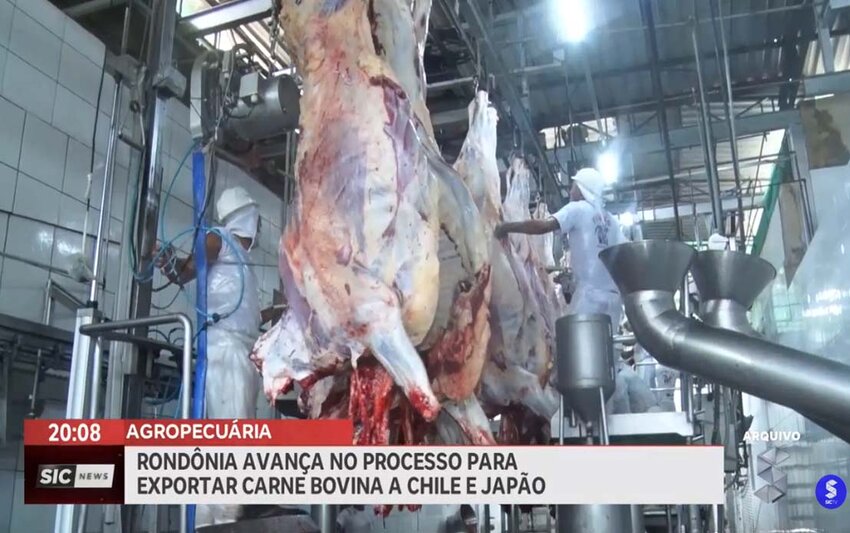 Rondônia avança para exportar carne bovina a Chile e Japão