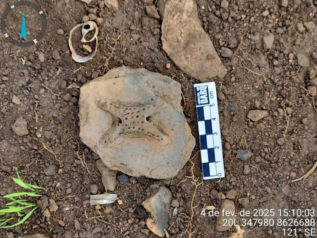 A Terra é Meu Quilombo reforça a resistência ancestral em Rondônia - Gente de Opinião