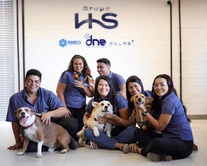 No mercado pet desde 2023, DNE Diagnósticos Nordeste humaniza ambiente de trabalho com a presença de animais de estimação - Gente de Opinião