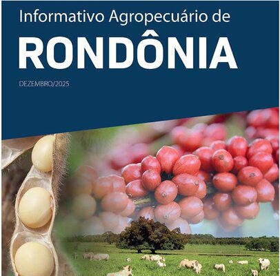 Área plantada com soja em Rondônia deve ultrapassar os 700 mil hectares na safra 2025/2026