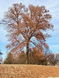 Reflexões… - Gente de Opinião