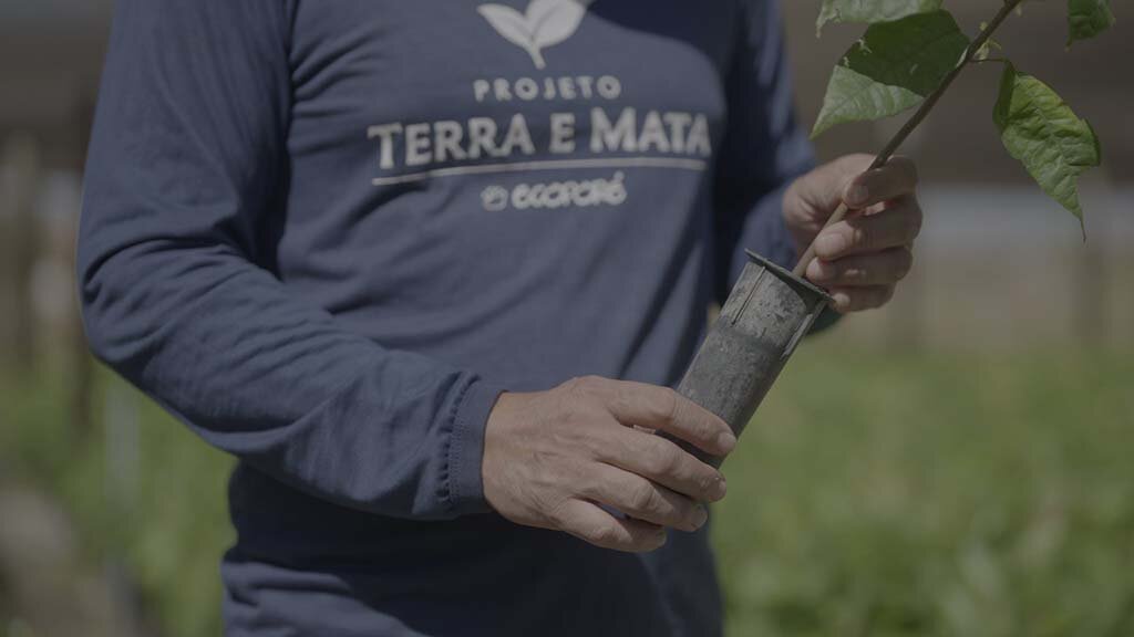 Ecoporé lança série de vídeos que retrata quatro anos de projeto Terra e Mata em Rondônia - Gente de Opinião
