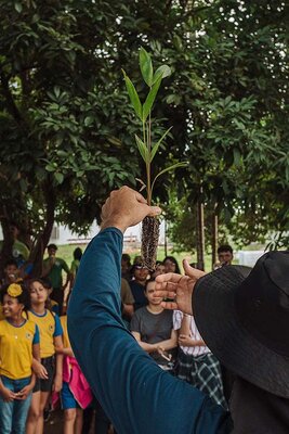 “Vou estudar debaixo da árvore que plantei”: criança traduz o propósito do plantio que mira um Carnaval de carbono neutro