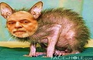 Passou do ponto, apodreceu no pé e caiu de maduro - Gente de Opinião