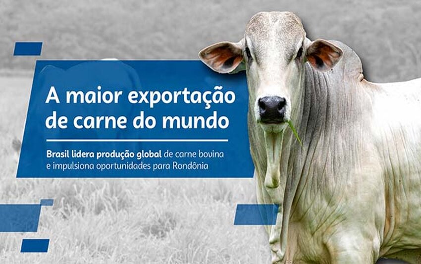 Brasil lidera produção global de carne bovina e impulsiona oportunidades para Rondônia