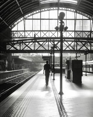 Entre a luz e as sombras, habitamos o agora a caminho do infinito