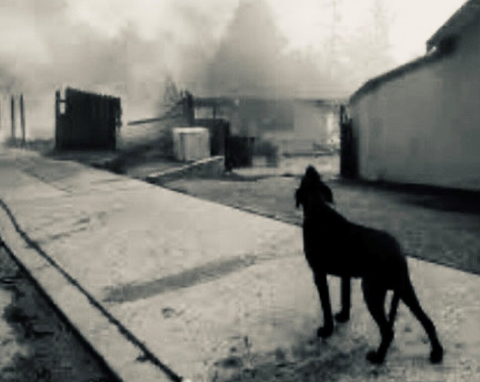 Tudo fica para trás - Gente de Opinião