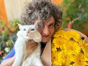 NUMPINTUMSÃO,17 ANOS DEPOIS  - Gente de Opinião