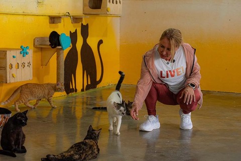 Deputada Ieda Chaves doa salário e destina mais de R$ 2,3 milhões para a causa animal em Rondônia