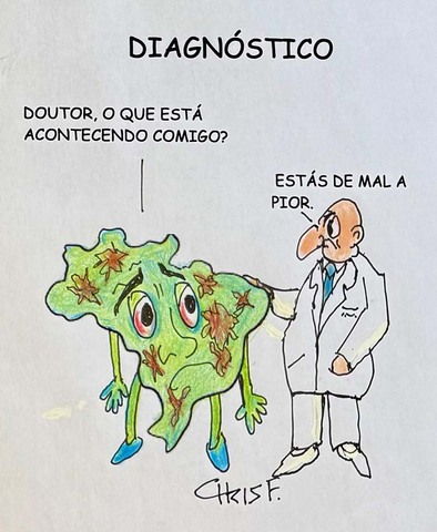 Diagnóstico - Gente de Opinião