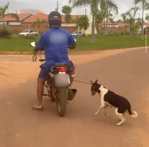 Infrator condunzindo a motocicleta puxando o animal. (imagem registrada por popular) - Gente de Opinião