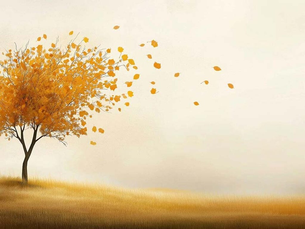 Livre-arbítrio, crença e a liberdade que precisa ser examinada - Gente de Opinião