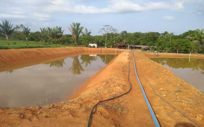 Piscicultura sustentável avança com parceria entre Prefeitura e Unir