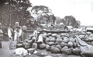 Até o descobrimento da cassiterita, a borracha era o gradde motor da economia rondoniense - Gente de Opinião