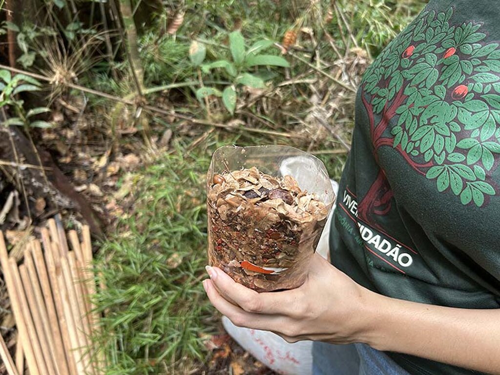 Cultura, tecnologia e saber popular em ação de plantio e muvuca da Ecoporé no Nova Conquista - Gente de Opinião