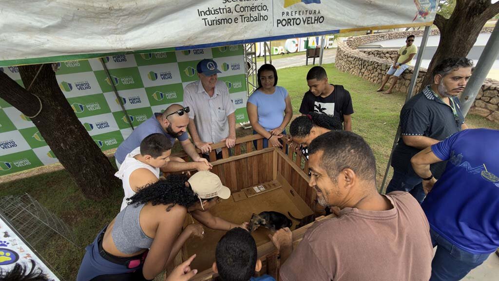 Os cães e gatos disponibilizados para adoção são oriundos das ações desenvolvidas pelo Executivo municipal - Gente de Opinião