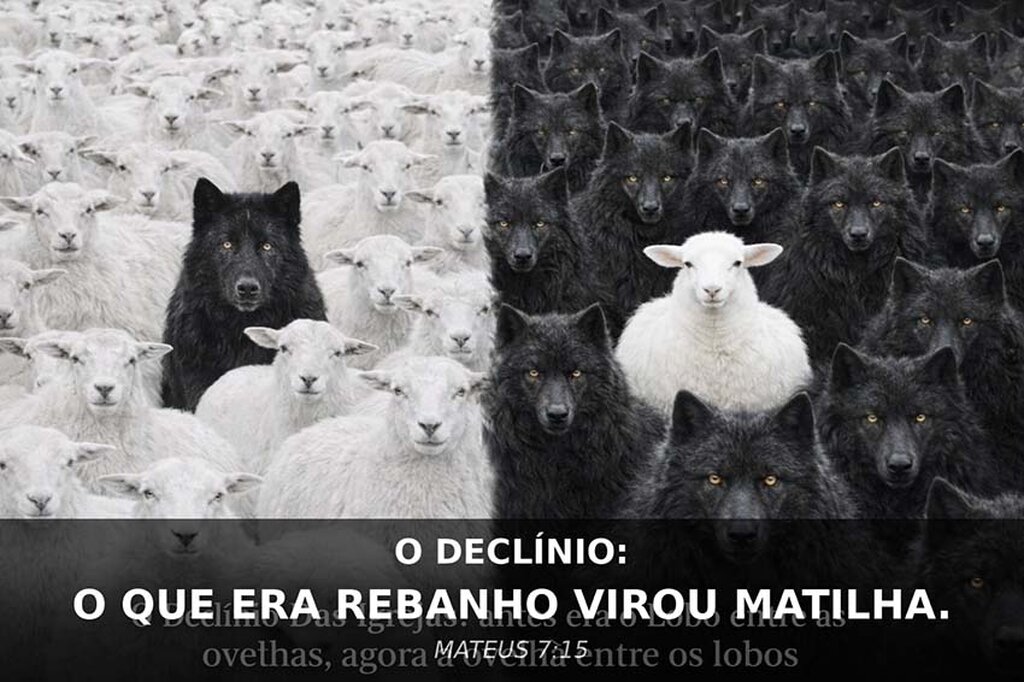 A Servidão que se Normaliza: Entre a Exploração Material e o Estelionato da Fé - Gente de Opinião
