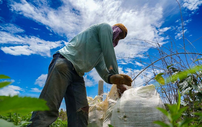 Alimentos chegam mais baratos à cidade com transporte da Prefeitura de Porto Velho