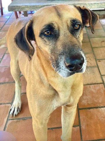 Hulk  - Gente de Opinião