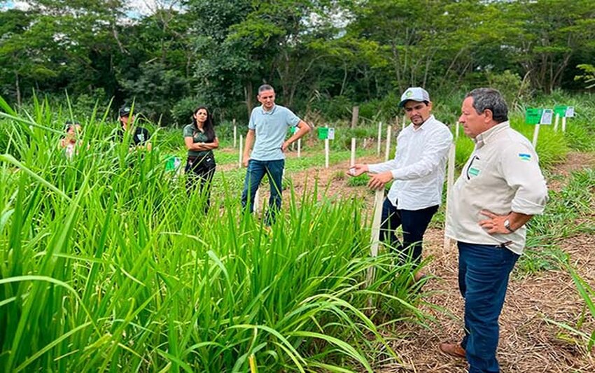 Programa estadual fortalece pecuária leiteira e aumenta produtividade na agricultura familiar em Rondônia