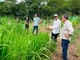 Programa estadual fortalece pecuária leiteira e aumenta produtividade na agricultura familiar em Rondônia