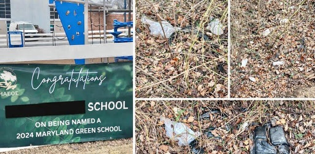 Entre a Retórica da Sustentabilidade, a Distinção de Excelência e o Lixo na Vegetação em Volta - Gente de Opinião