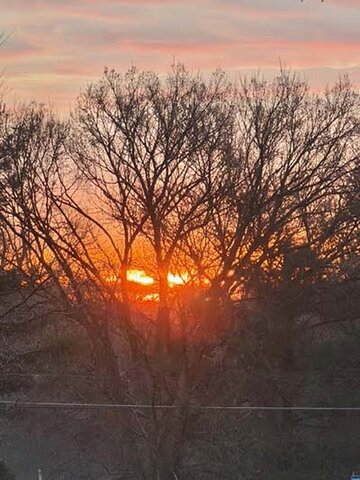 O Amanhecer da Consciência - Gente de Opinião
