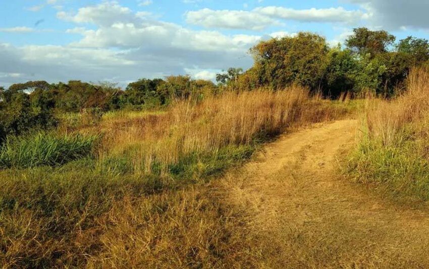 Após manifestação do MPF, Justiça reconhece fazenda em Rondônia como área pública para programas de reforma agrária