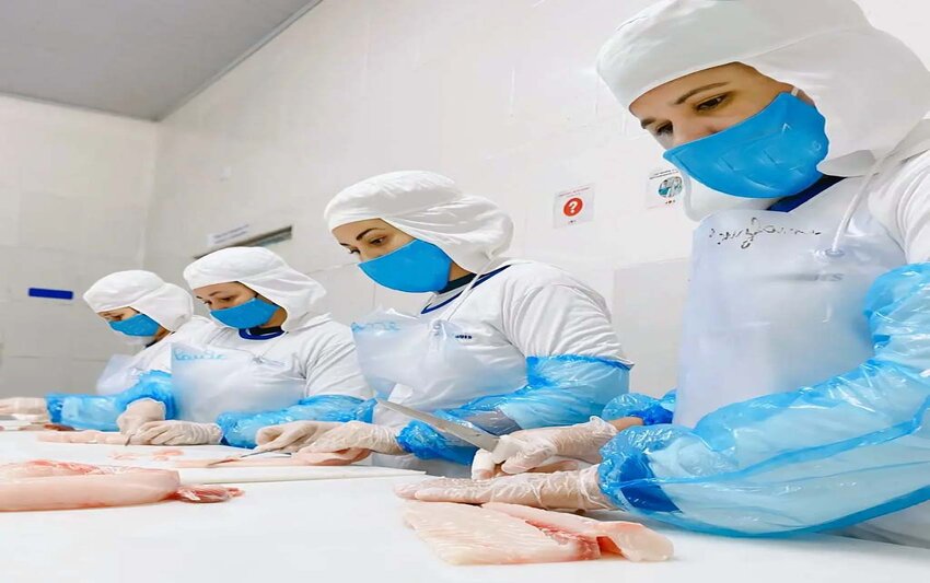 Auxiliar de produção e vendedor lideram oportunidades entre as 2.410 vagas do Sine-RO