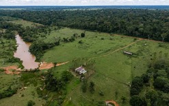 Governo de Rondônia vai arrecadar glebas devolutas