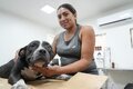 Saiba como funciona o atendimento diário na Clínica Bem-Estar Animal