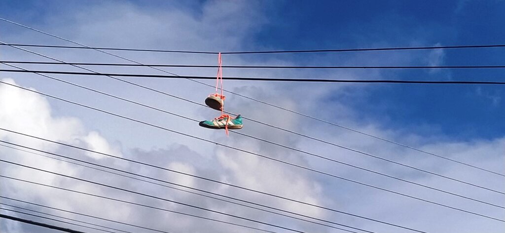 Energisa alerta: em Rondônia, prática perigosa de jogar objetos na rede elétrica já afetou quase 20 mil clientes em 2026 - Gente de Opinião