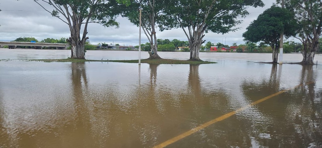Enchente do Rio Machado coloca Ji-Paraná em alerta vermelho e mobiliza força-tarefa para atender famílias atingidas - Gente de Opinião