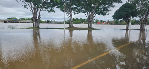 Enchente do Rio Machado coloca Ji-Paraná em alerta vermelho e mobiliza força-tarefa para atender famílias atingidas