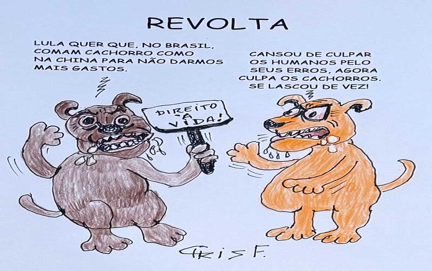 Revolta