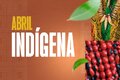 Abril Indígena: decisão judicial cancela matrícula de estudante que se passou por indígena em Rondônia