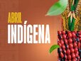 Abril Indígena: decisão judicial cancela matrícula de estudante que se passou por indígena em Rondônia