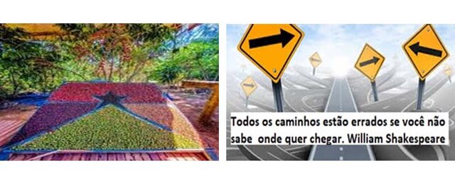 Vorcaro, o coveiro do STF  - Gente de Opinião