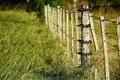 MPF recomenda que Incra defina se área de imóvel rural em Nova Brasilândia (RO) voltará a ser terra pública