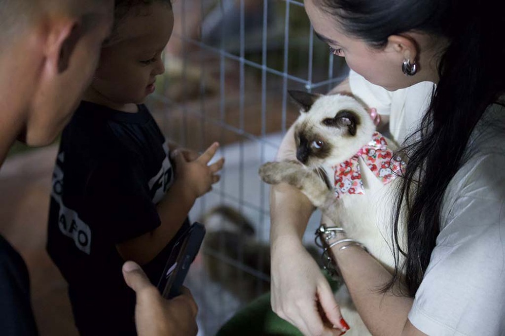 Primeiro dia do EmpreendePet lota Espaço Alternativo e evento segue neste domingo (19) com adoção de mais de 200 animais - Gente de Opinião