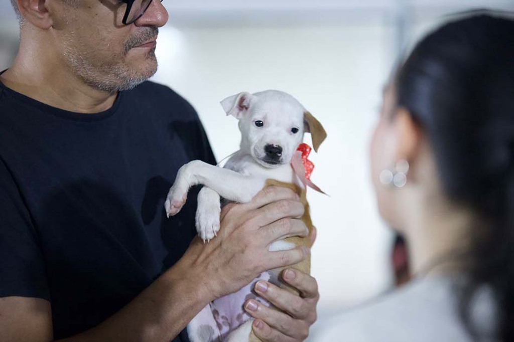 Primeiro dia do EmpreendePet lota Espaço Alternativo e evento segue neste domingo (19) com adoção de mais de 200 animais - Gente de Opinião