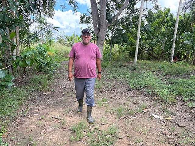 Josilei acompanhando de perto o desenvolvimento dos cinco mil pés de mandioca plantados há cinco meses em sua propriedade - Gente de Opinião