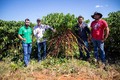 Hildon Chaves vai levar gestão de sucesso da cadeia produtiva do agronegócio para o governo 