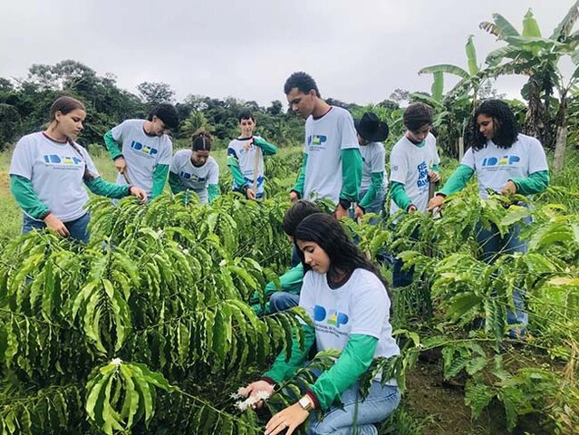 Atividades práticas no campo  capacitam  alunos  para conquistarem um emprego ou investir no próprio negócio - Gente de Opinião