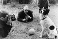 NO MUNDO DOS ESPORTES - O dia que a Jules Rimet foi roubada