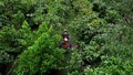 Natura apresenta modelo próprio de carbono na Amazônia e estudo indica impacto socioeconômico positivo em comunidade fornecedora 