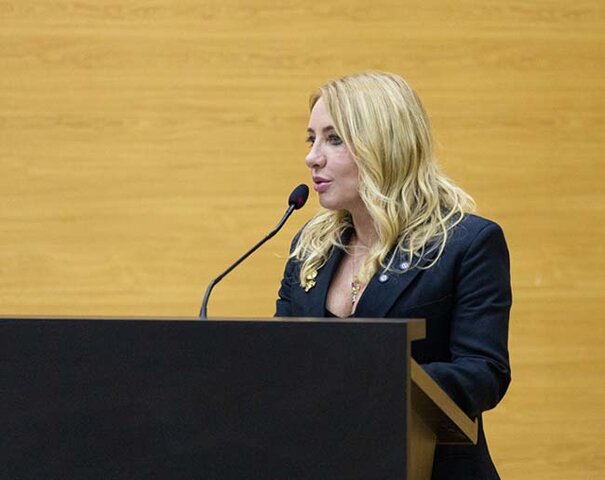 Deputada Ieda Chaves solicita ao DER/RO recuperação urgente da RO-370 entre Corumbiara e a BR-435 - Gente de Opinião