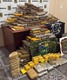 Forças de segurança em Rondônia apreendem cerca de 300 kg de drogas no rio Madeira