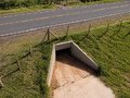 Atropelamentos de fauna silvestre avançam no Brasil e aprovação de plano nacional acende  alerta no Mato Grosso do Sul
